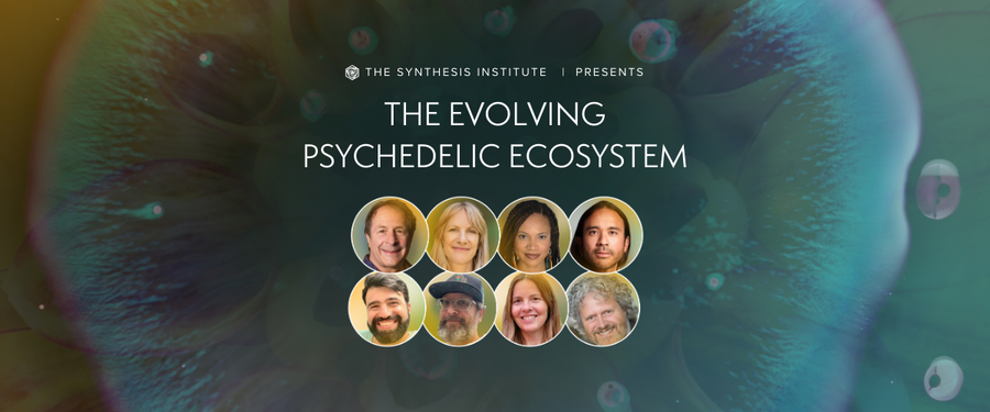 The Evolving Psychedelic Ecosystem