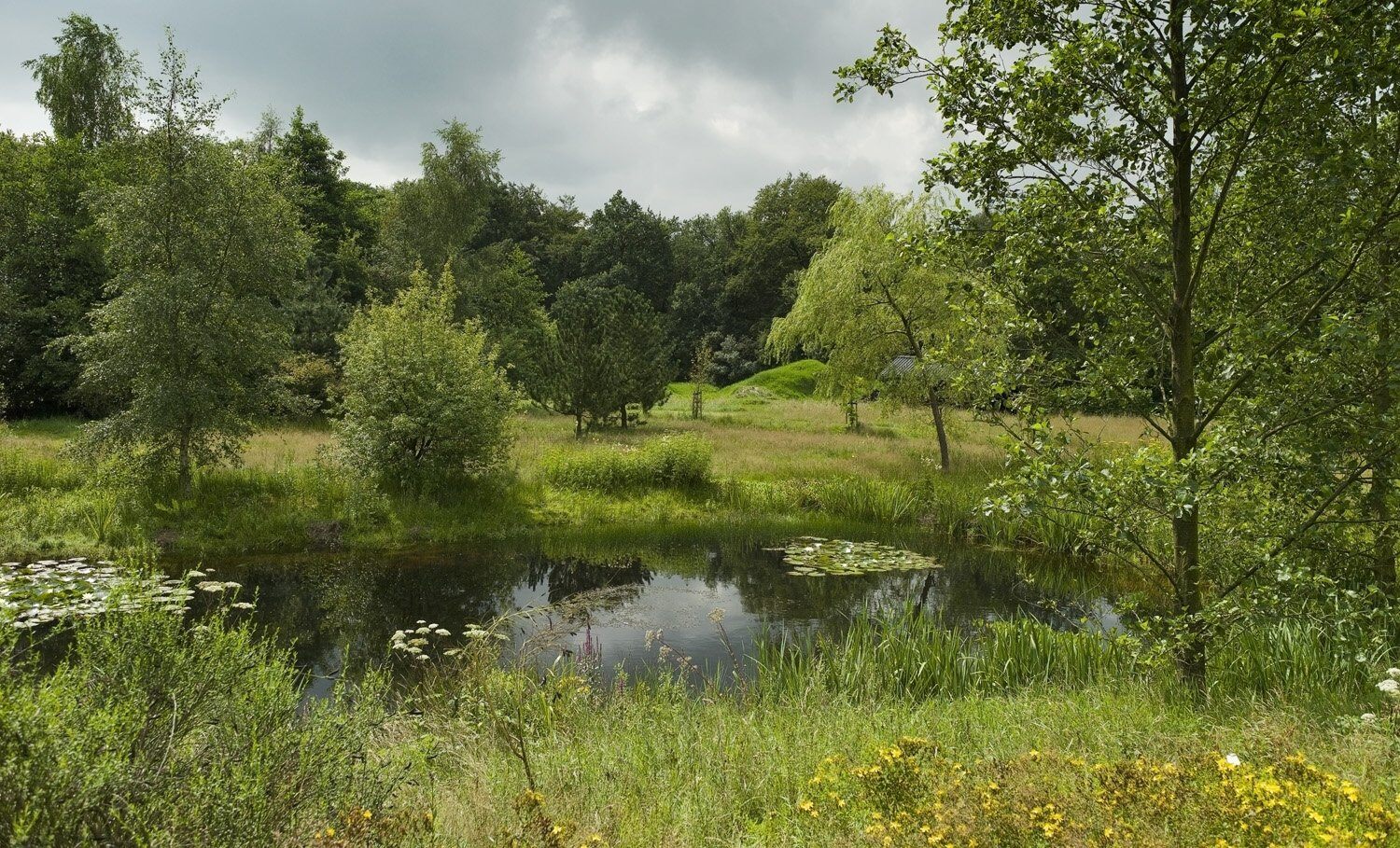 https://explore.synthesisretreat.com/hubfs/Hemrik%2BSparjeburd%2B(1109781)%2B1500px%2B(1)-1.jpg