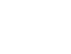 embodied icon