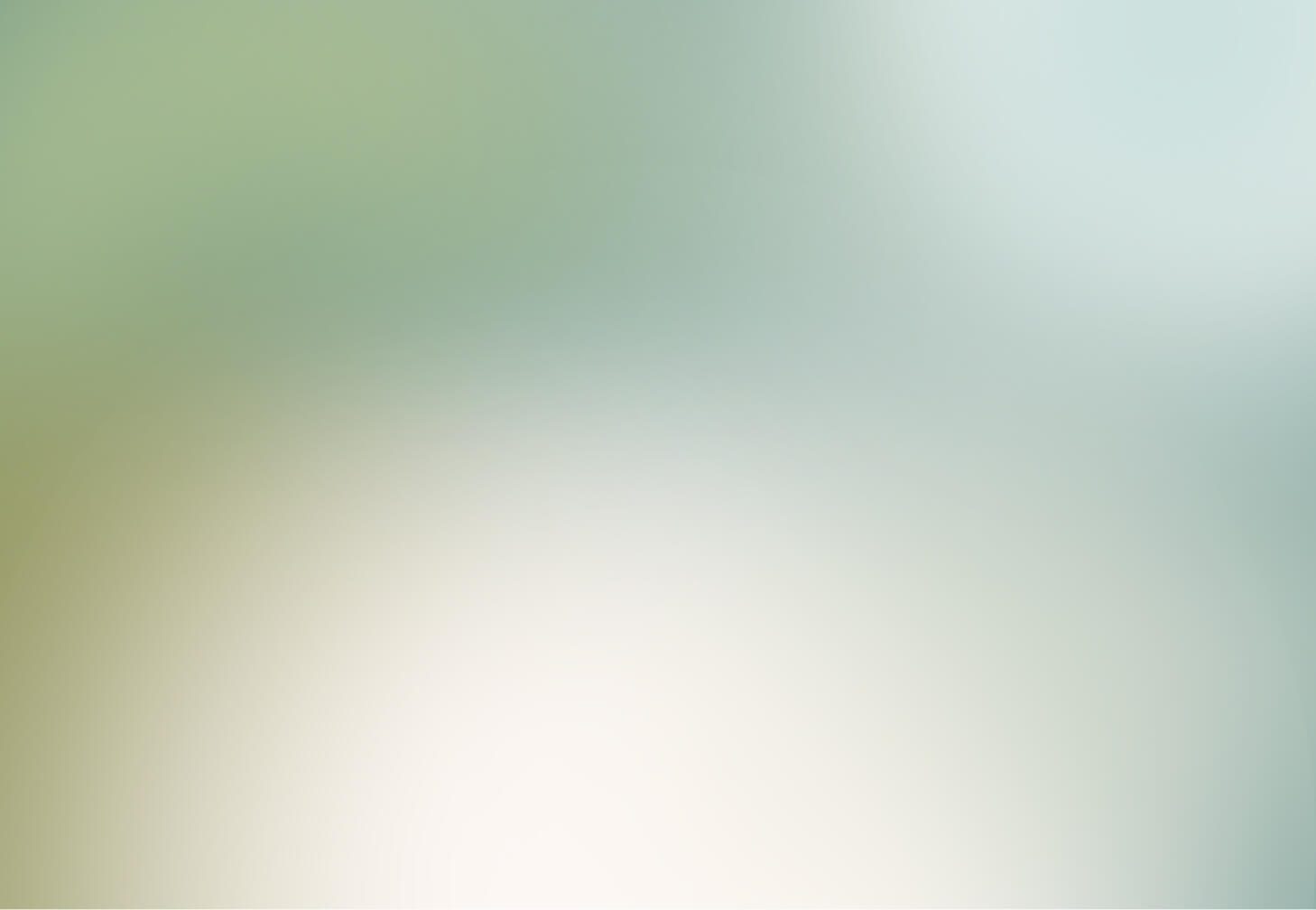 bg form -nonoize (1)