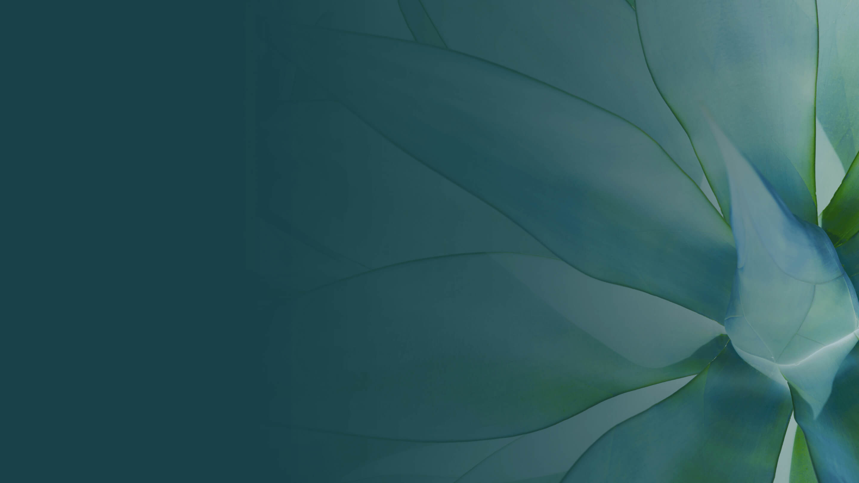 Our next event's title